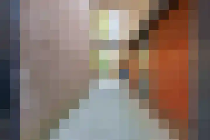 Franciscushof 20 Franeker thumbnail 14