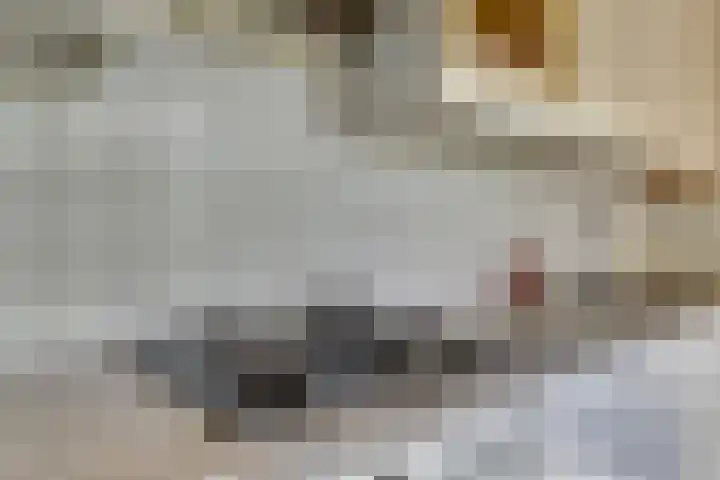 Franciscushof 207 Vianen thumbnail 10