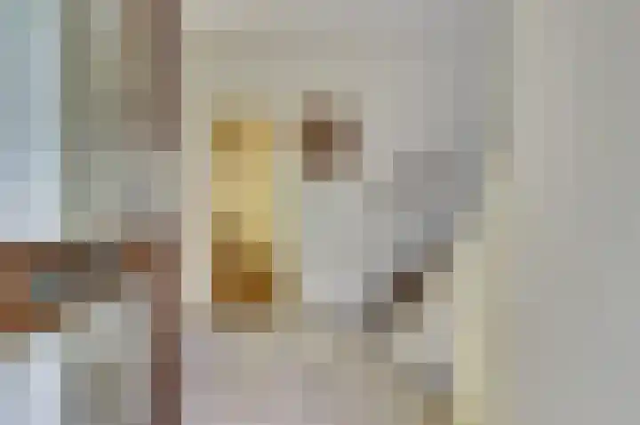 Franciscushof 207 Vianen thumbnail 11