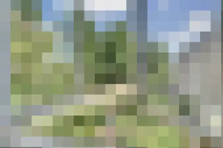 Franciscushof 207 Vianen thumbnail 16