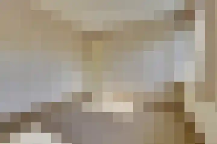 Franciscushof 207 Vianen thumbnail 18