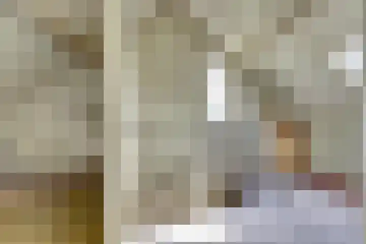 Franciscushof 207 Vianen thumbnail 23
