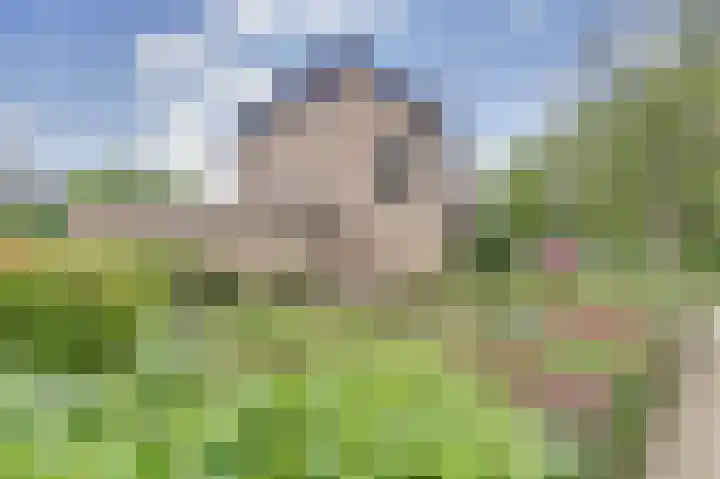 Franciscushof 207 Vianen thumbnail 33