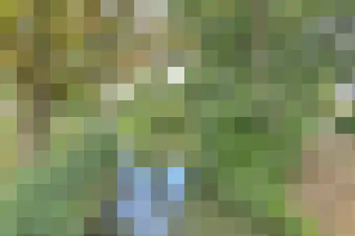 Franciscushof 207 Vianen thumbnail 39