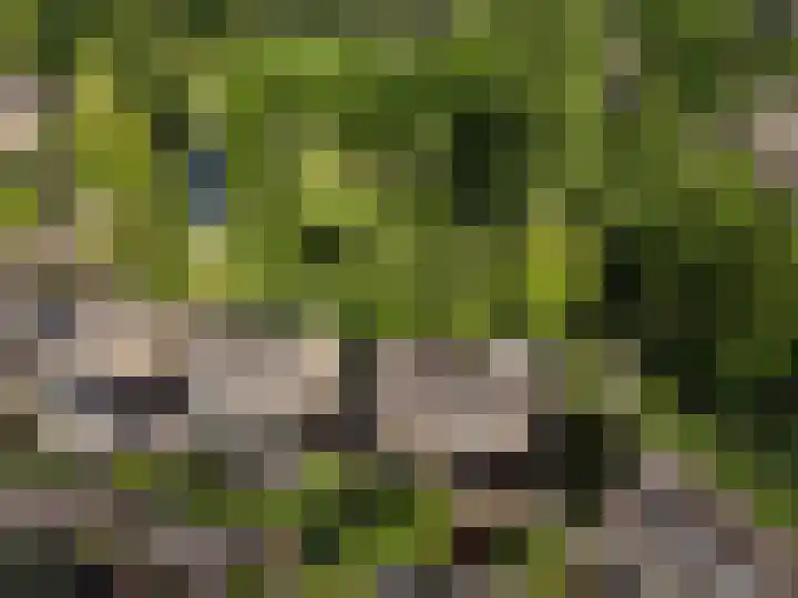 Franciscushof 207 Vianen thumbnail 42