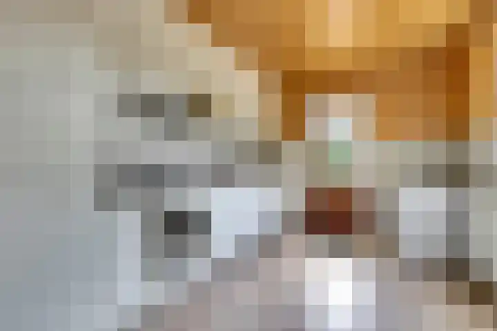 Franciscushof 207 Vianen thumbnail 8