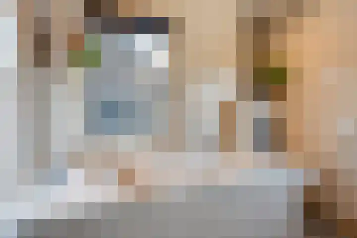 Franciscushof 22 Bodegraven thumbnail 12