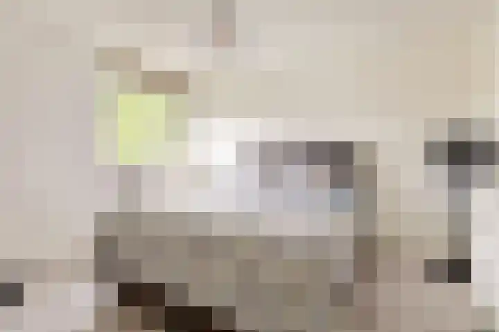 Franciscushof 3 Vianen thumbnail 17