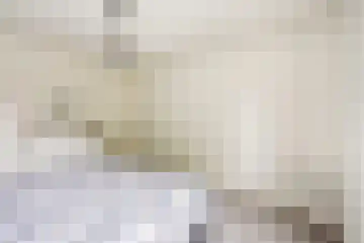 Franciscushof 3 Vianen thumbnail 18