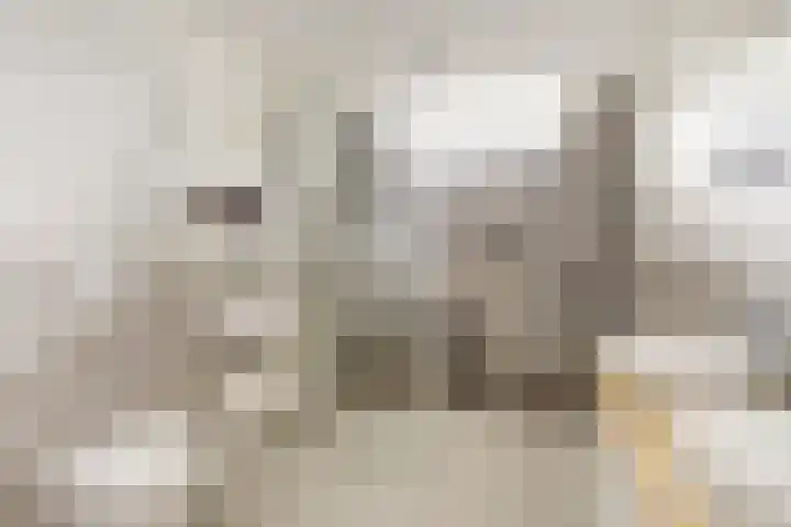Franciscushof 3 Vianen thumbnail 23