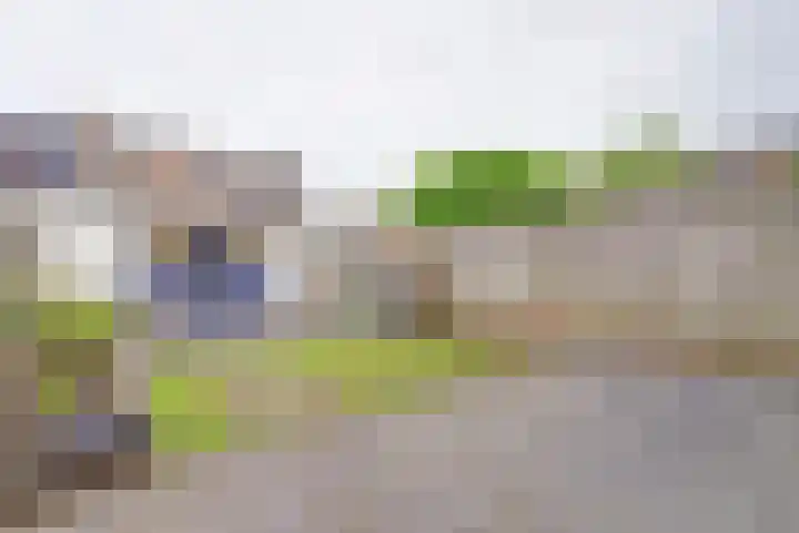 Franciscushof 3 Vianen thumbnail 30