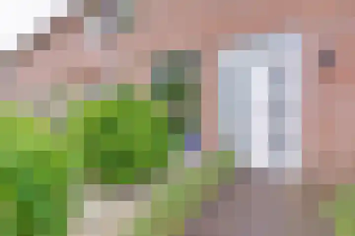 Franciscushof 3 Vianen thumbnail 5