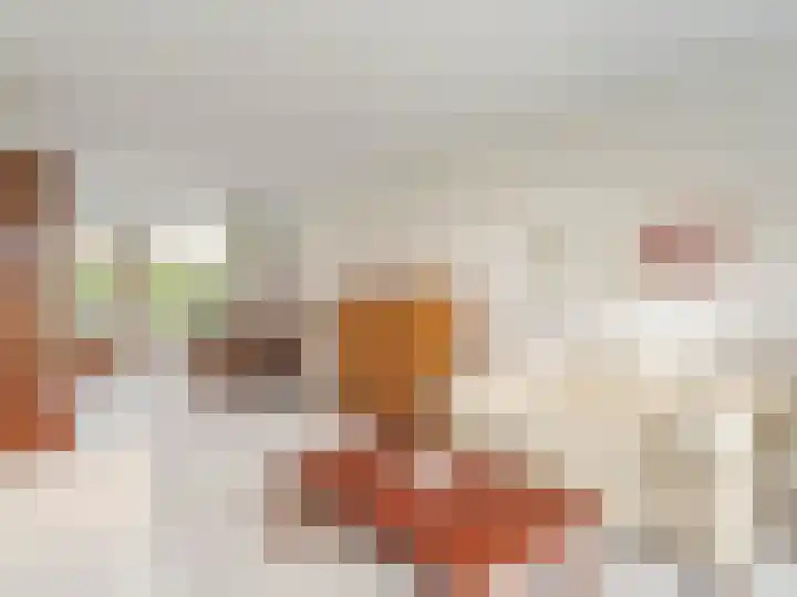 Franciscushof 64 Vianen thumbnail 10