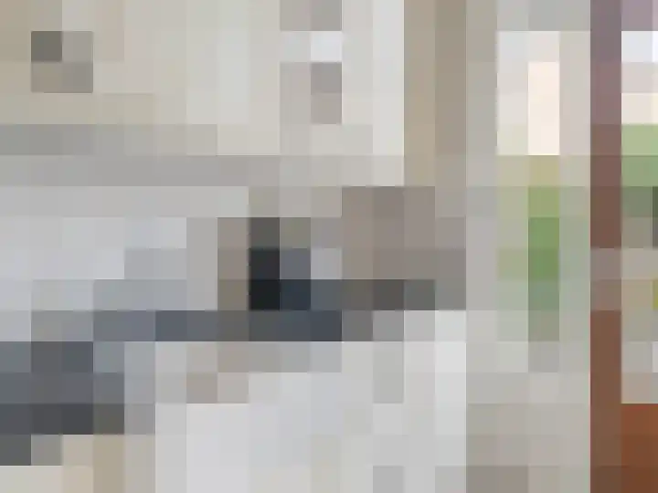Franciscushof 64 Vianen thumbnail 16
