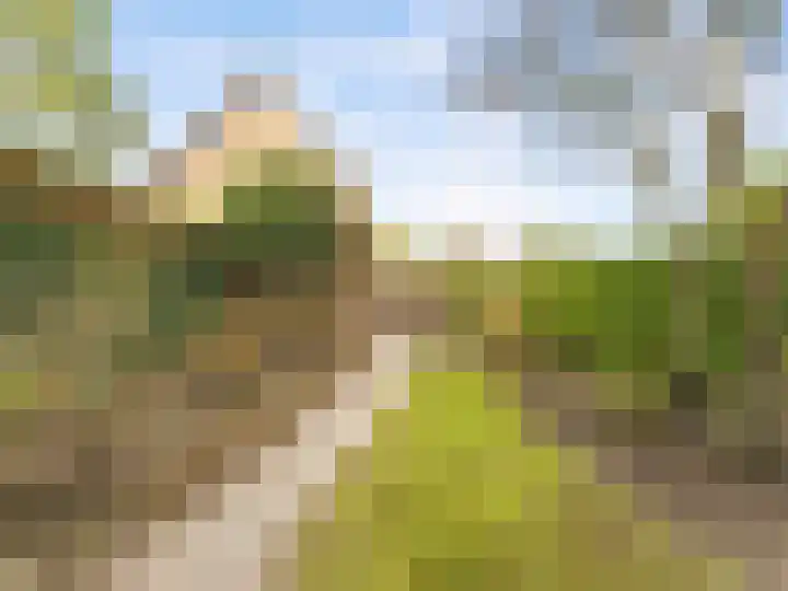 Franciscushof 64 Vianen thumbnail 19