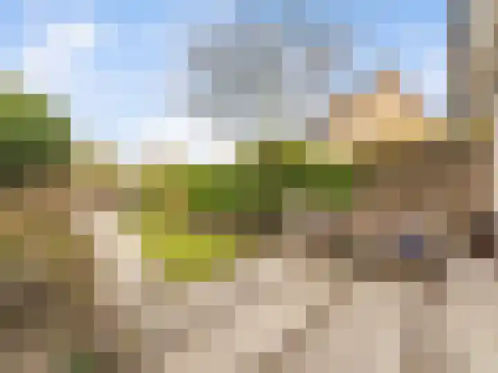 Franciscushof 64 Vianen thumbnail 20