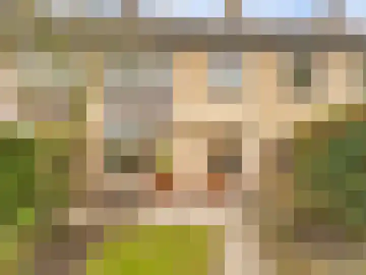 Franciscushof 64 Vianen thumbnail 21