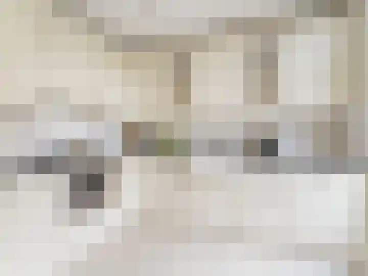 Franciscushof 64 Vianen thumbnail 4