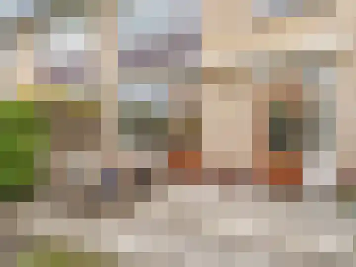 Franciscushof 64 Vianen thumbnail 41