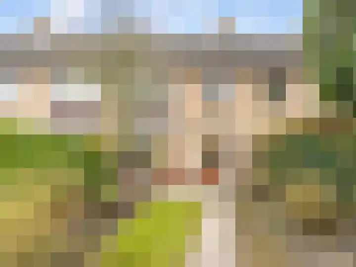 Franciscushof 64 Vianen thumbnail 42