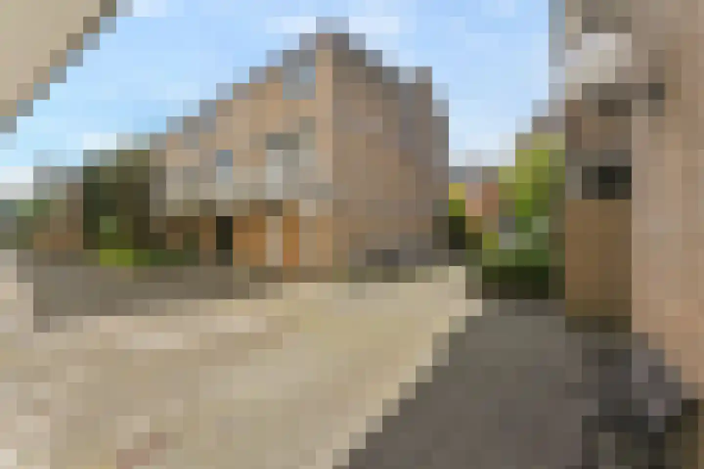 Franciscushof 7 Bodegraven thumbnail 22