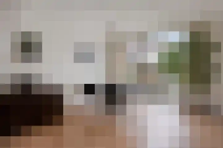 Franciscushof 87 Vianen thumbnail 12