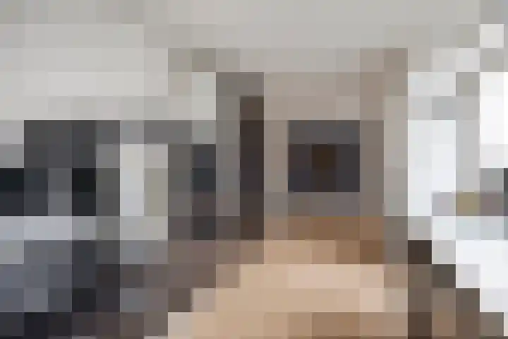 Franciscushof 87 Vianen thumbnail 17