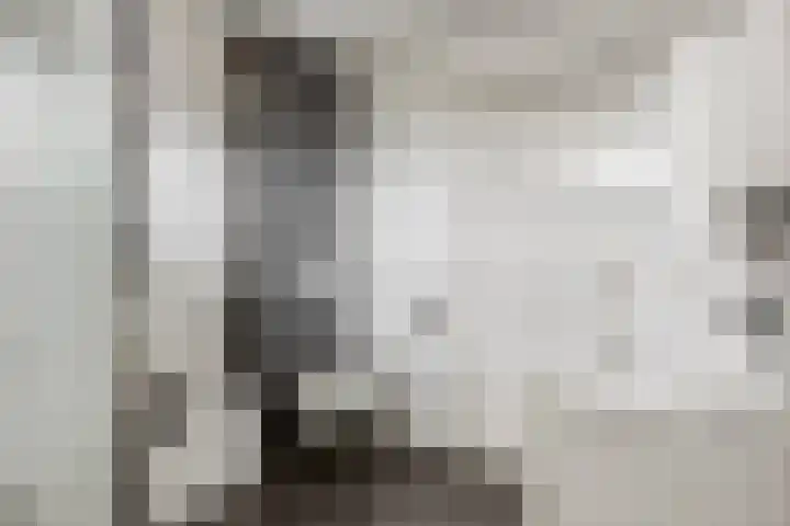 Franciscushof 87 Vianen thumbnail 21