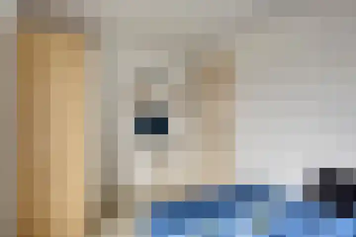 Franciscushof 87 Vianen thumbnail 27