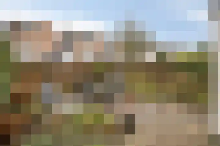 Franciscushof 87 Vianen thumbnail 36