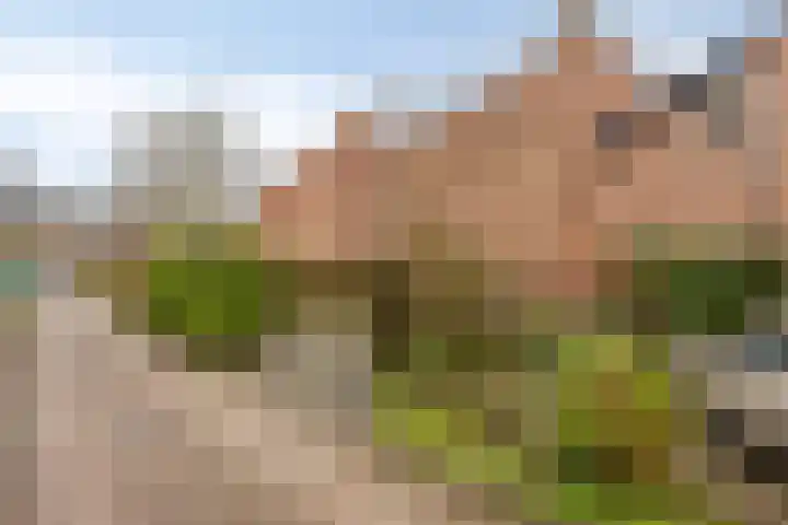 Franciscushof 87 Vianen thumbnail 37