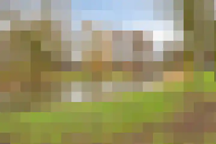 Franciscushof 87 Vianen thumbnail 40