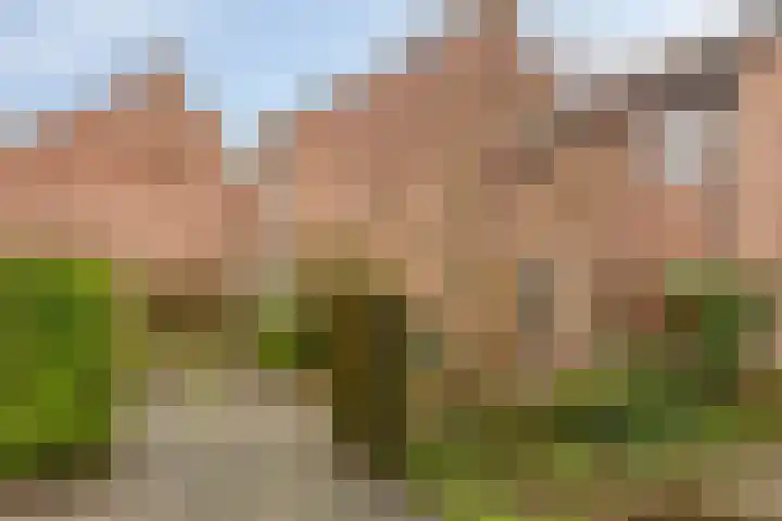 Franciscushof 87 Vianen thumbnail 5