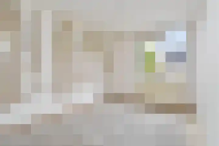Franciscushof 9 Bodegraven thumbnail 11
