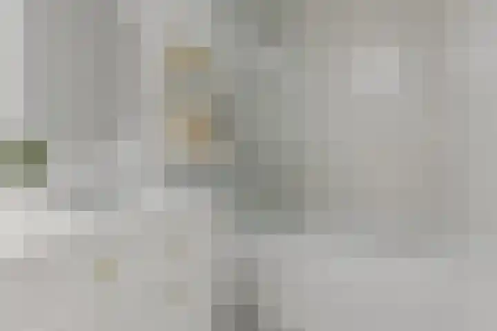 Franciscushof 9 Bodegraven thumbnail 13