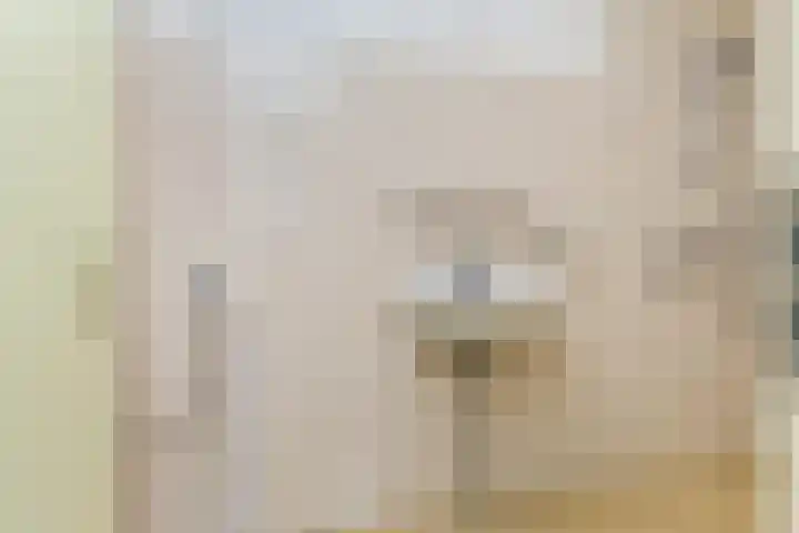 Franciscushof 9 Bodegraven thumbnail 14