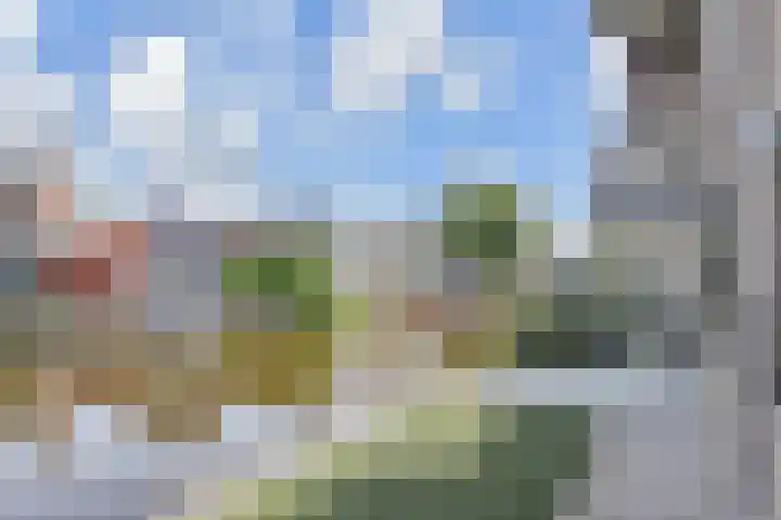 Franciscushof 9 Bodegraven thumbnail 16