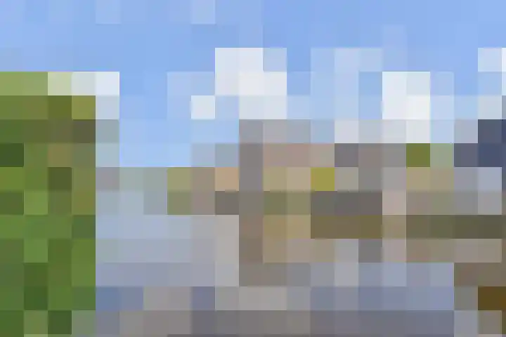 Franciscushof 9 Bodegraven thumbnail 19
