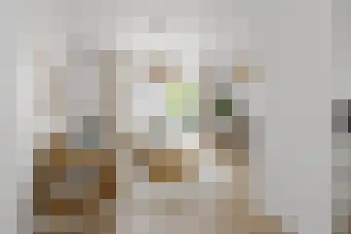 Franciscushof 9 Bodegraven thumbnail 4