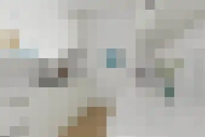 Franciscushof 9 Bodegraven thumbnail 8