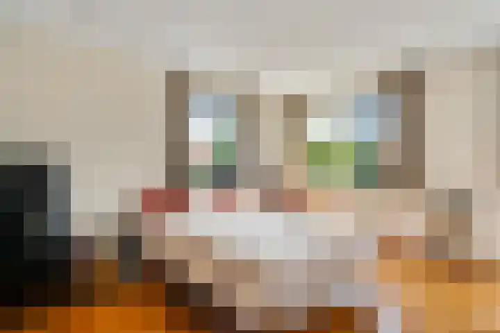 Franciscuslaan 8 A Weert thumbnail 20