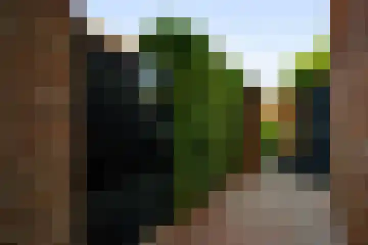 Franciscuslaan 8 A Weert thumbnail 27