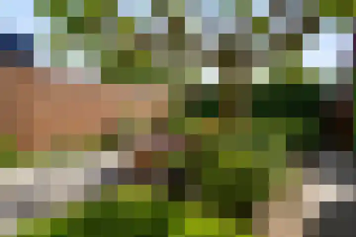Franciscuslaan 8 A Weert thumbnail 28