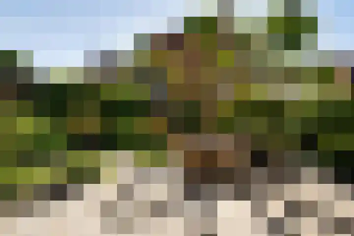 Franciscuslaan 8 A Weert thumbnail 29