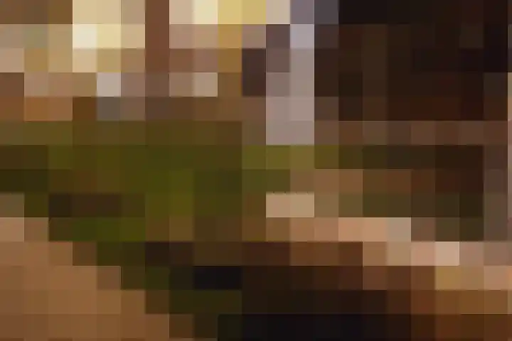 Franciscuslaan 8 A Weert thumbnail 30