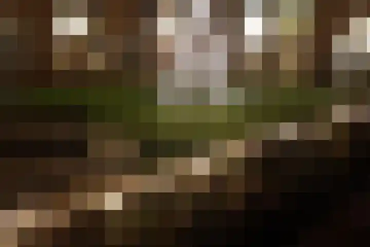 Franciscuslaan 8 A Weert thumbnail 31