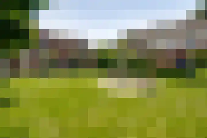 Franciscuslaan 8 A Weert thumbnail 32