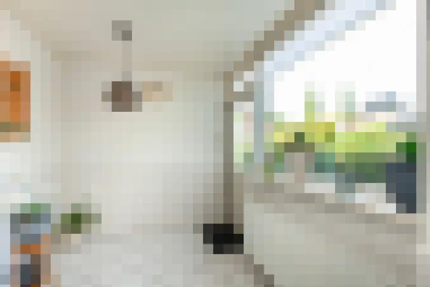 Franciscusstraat 15 Wijchen thumbnail 12