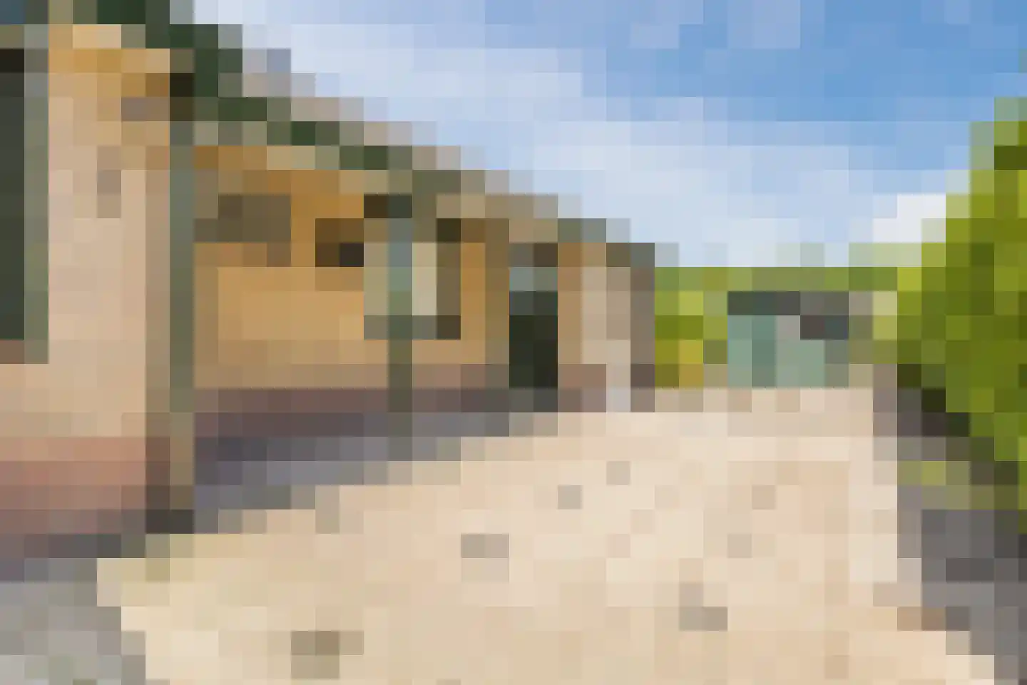 Franciscusstraat 2 Lepelstraat thumbnail 41