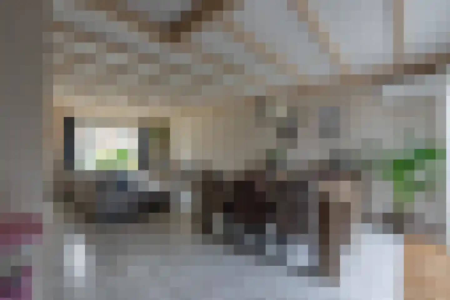 Franciscusstraat 50 Bemmel thumbnail 6